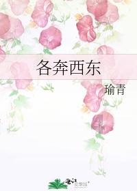 逃离整洁房屋